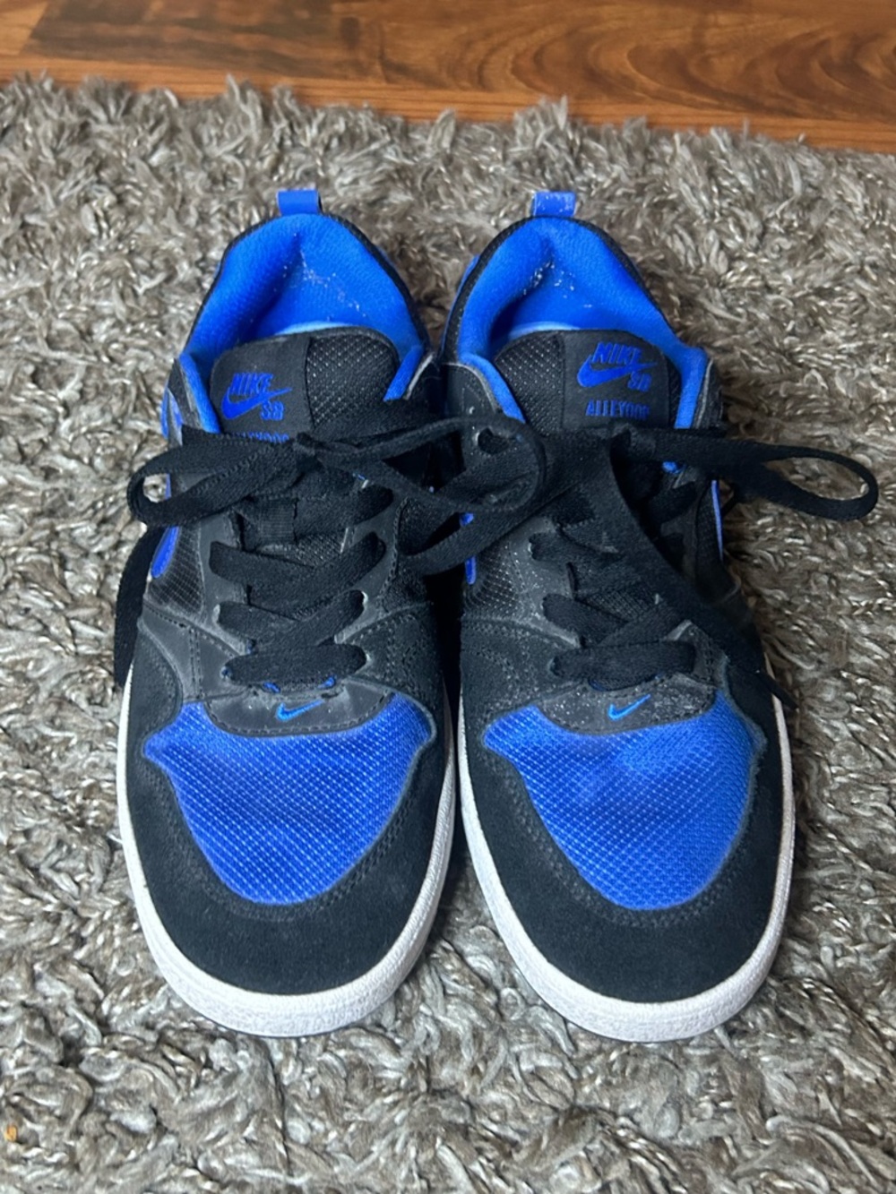 Nike SB Alleyoop Sneakers